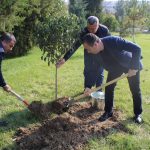 Jizzaxda «Yashil makon» umummilliy loyihasi